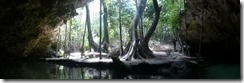 2015.07.08 c Cenote Isla Alamos, Quintana Roo, Mexico (27) (640x210)