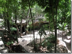 2015.07.08 c Cenote Isla Alamos, Quintana Roo, Mexico (3) (640x480)