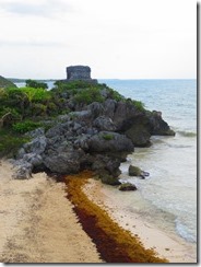 2015.07.09 b Tulum Ruins, Quintana Roo, Mexico (69) (480x640)