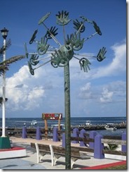 2015.07.13 c Puerto Morelos, Quintana Roo, Mexico (7) (480x640)